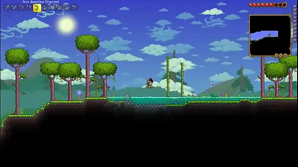 Cabeleireira Terraria